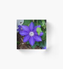 Purple Flower Acrylic Block