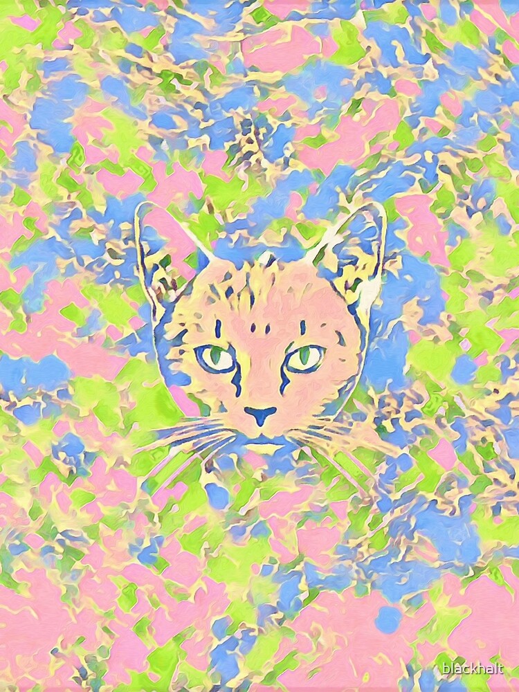 Cat by blackhalt