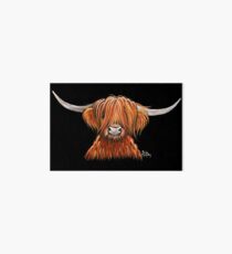 Scottish Hairy Highland Kuh 'HARLEY 2' von Shirley MacArthur Galeriedruck