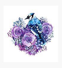 Blue Jay and Violet Flowers Watercolor Photographic Print