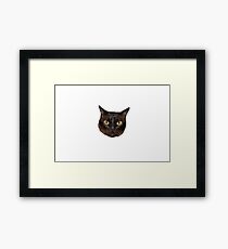 Da Snitch Framed Print