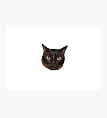 Da Snitch Photographic Print