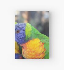 Australian Rainbow Lorikeets Hardcover Journal