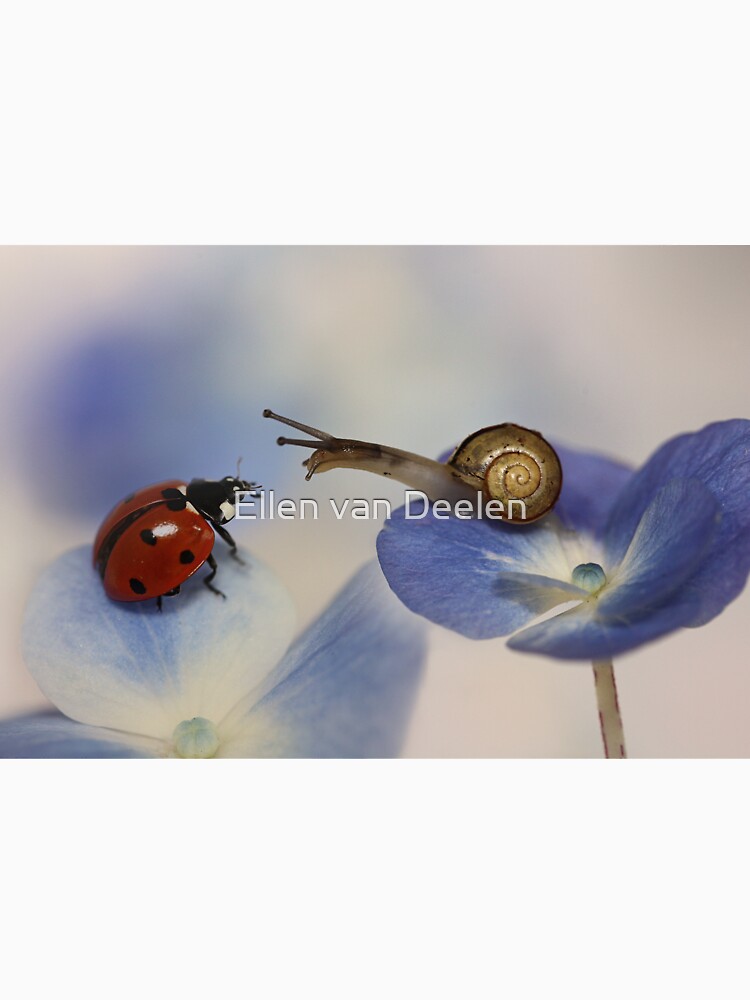 Very nice to meet you! by Ellen