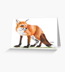 Fox Greeting Card