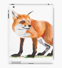 Fox iPad Case/Skin