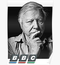 david attenborough Poster