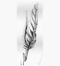 Quills Poster