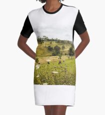 Stratford country vista Graphic T-Shirt Dress