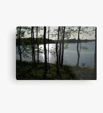 Sun on the Water Metal Print