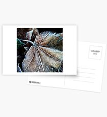 Crystals on a leaf Postcards