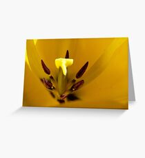 Heart of the Tulip - Yellow Tulip - NZ - Southalnd Greeting Card