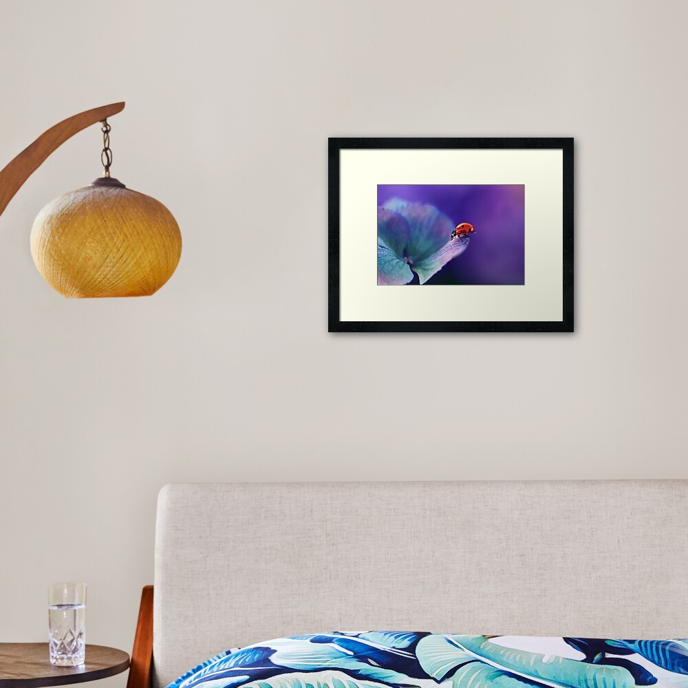 Ladybird....... Framed Art Print