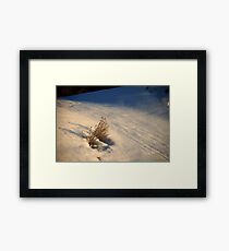 Winter Survival Framed Print