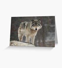 Dominant Wolf Greeting Card