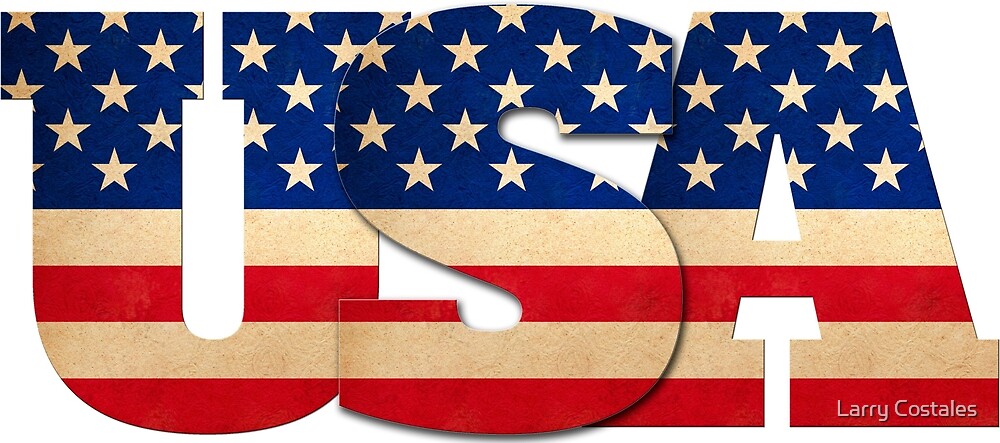 Idea of america essay image