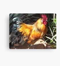 Farm talk - Artemis in glorious colour Canvas Print