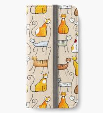 Sixteen Cats (on biscuit) iPhone Wallet/Case/Skin