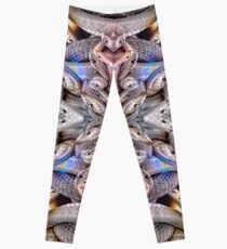 Snake Dance Leggings