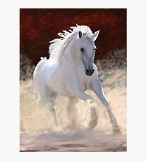 Free Spirit Photographic Print