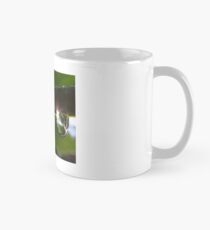 Sun reflected in Pearls Mug