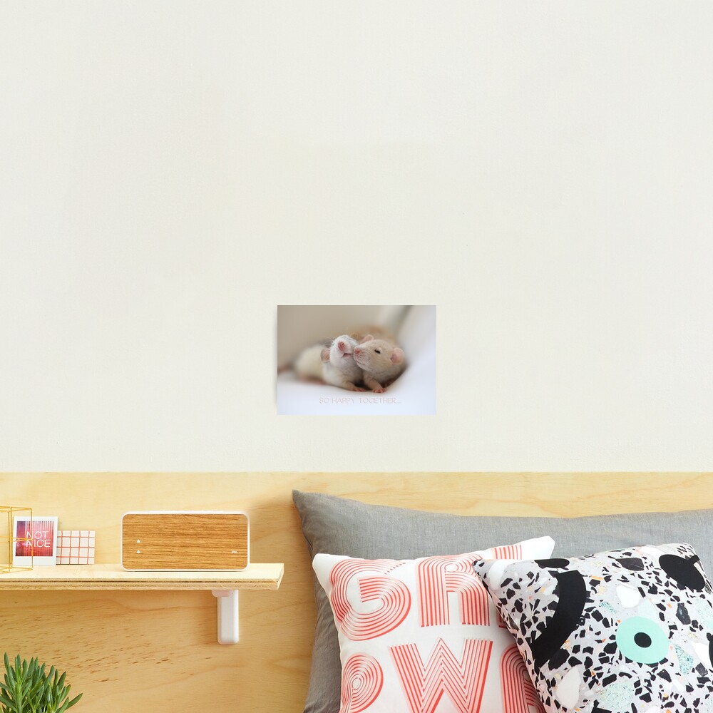 Friendship Photographic Print