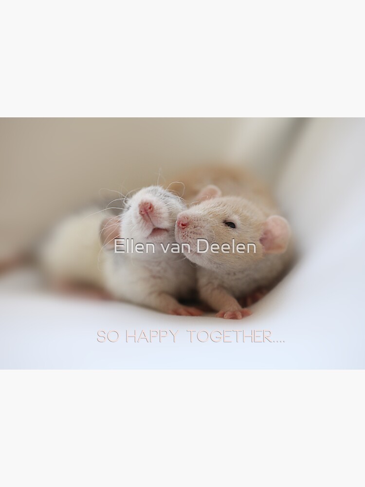 Friendship by Ellen