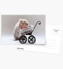 The new baby Postcards