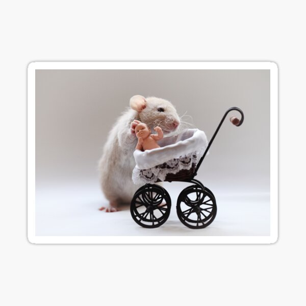 The new baby Sticker
