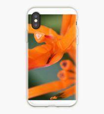 Herzed Papagei Blume iPhone-Hülle & Cover