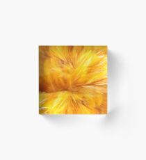 Feather Duster 2 Acrylic Block