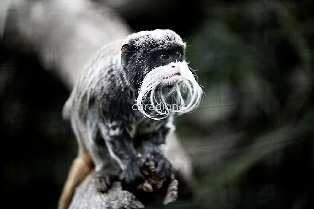 emperor tamarin stuffed animal