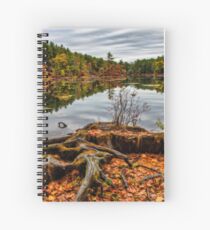 Large tree roots in autumn landscape Spiral Notebook