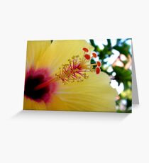 Yellow... Greeting Card