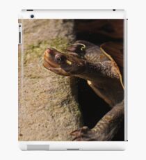 Turtle Bath-Time iPad Case/Skin