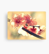 Spring of 2012 Canvas Print