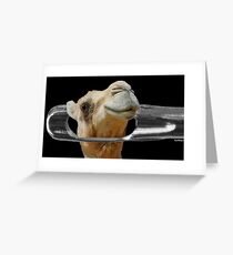Camel Going Through the Eye of a Needle Greeting Card