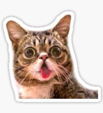 lil bub Sticker