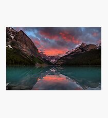 Pretty in Pink Photographic Print