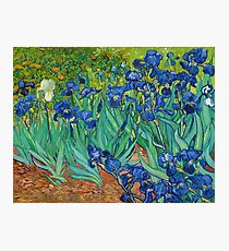 Irises by Vincent van Gogh (May 1889) Photographic Print