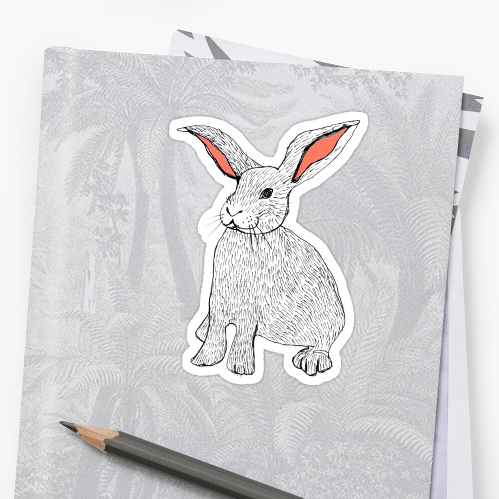 Rabbits Sticker By Sarahrozdilski Redbubble 