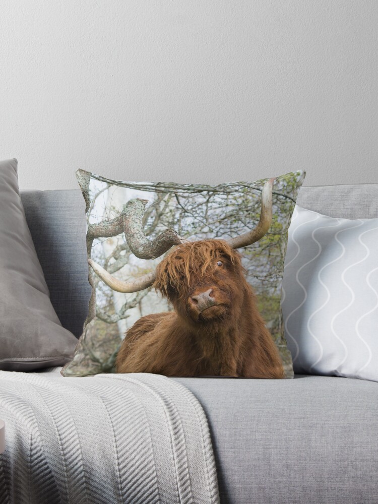 cow fur pillow