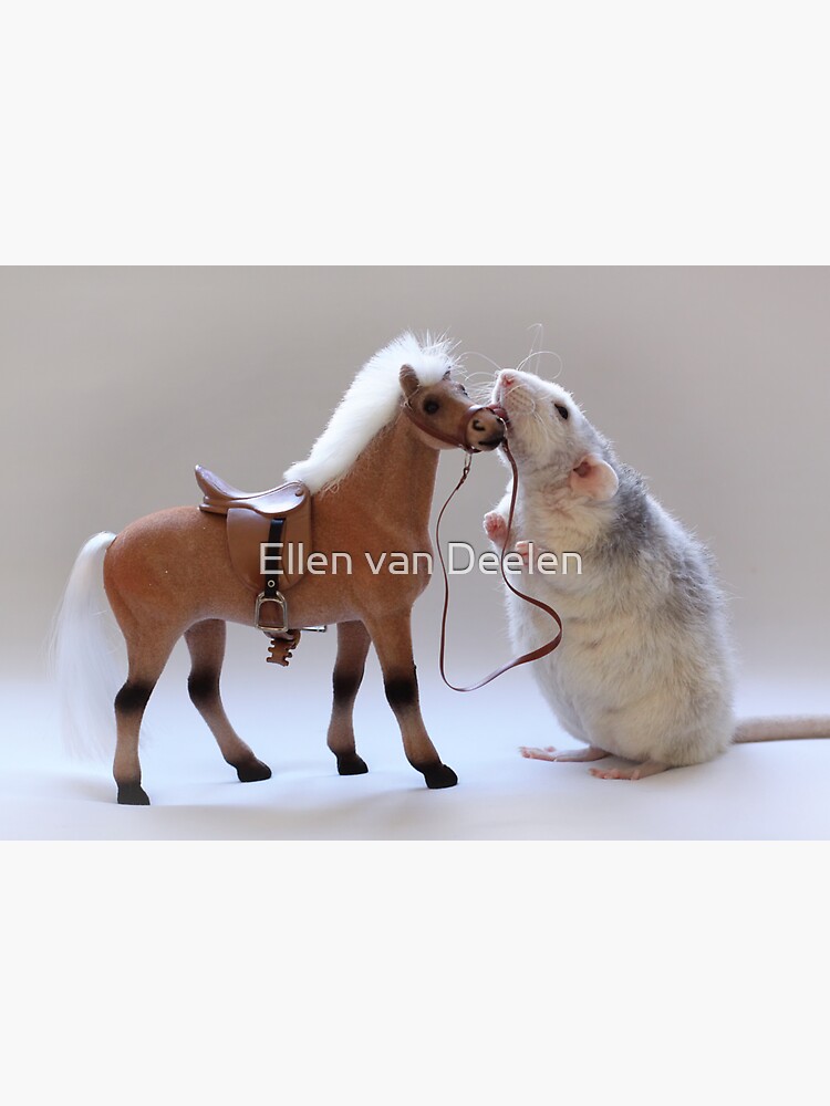 I love horses! by Ellen