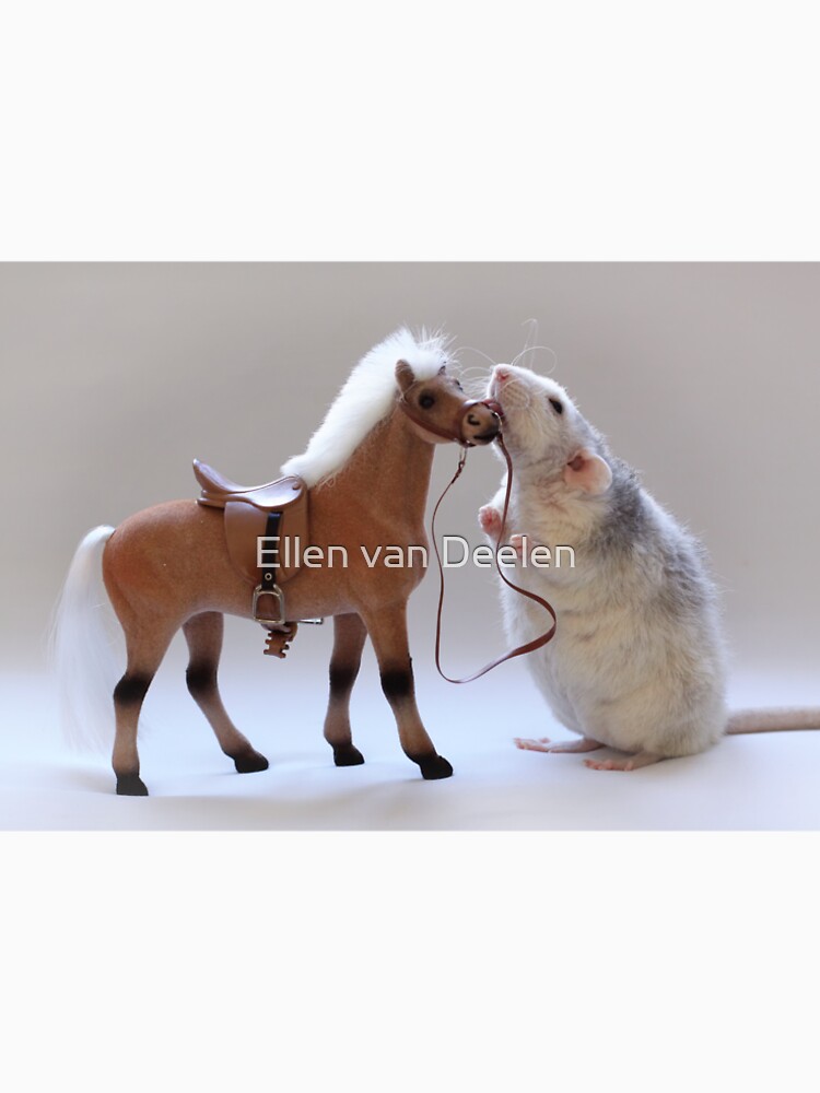 Ich liebe Pferde! von Ellen