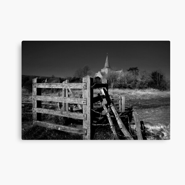 Alfristion Canvas Print