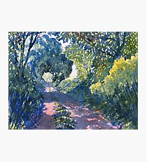 "Hockney's Tunnel of Trees" Photographic Print