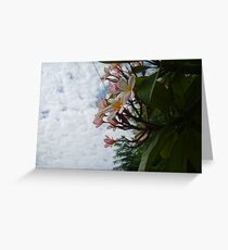 Frangipanis and Sky Greeting Card