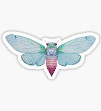 Cicada Sticker