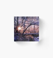 Pink Winter Light Acrylic Block