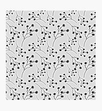 Baby's Breath Flower Pattern - White Photographic Print
